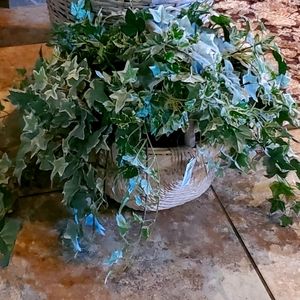 SILK IVY PLANT IN WHITE BASKET